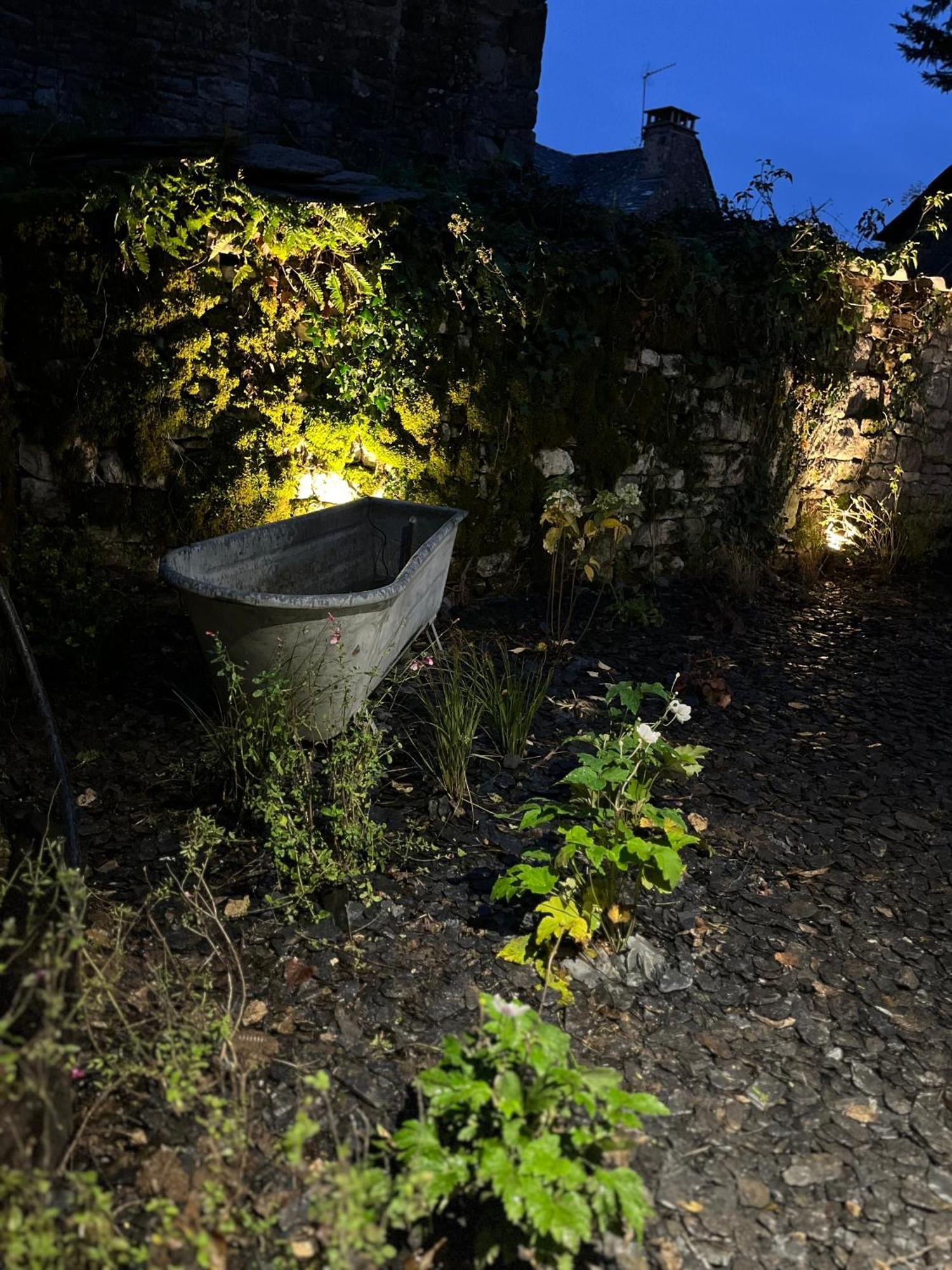 Le Dourdou Del Traouc Villa Bozouls Exterior foto